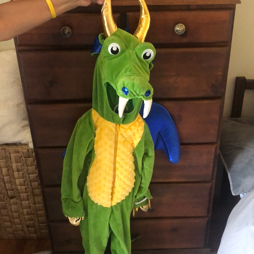 Dragon costume